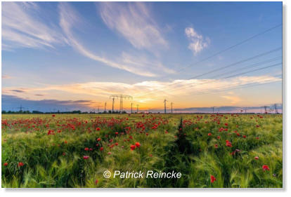 Patrick Reincke - Abendstimmung in Bredow