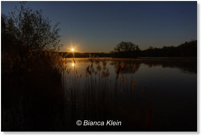 Bianca Klein - Sonnenaufgang am Nymphensee